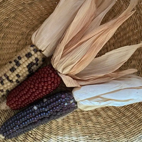 2024年新春彩る御祈祷済縁起物のしめ縄飾り 2024年新春彩る御祈祷済縁起物のしめ縄飾り 2024年新春彩る御祈祷済