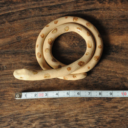１個＊【白・薄茶】陶器のヘビ　[H-A] 2枚目の画像