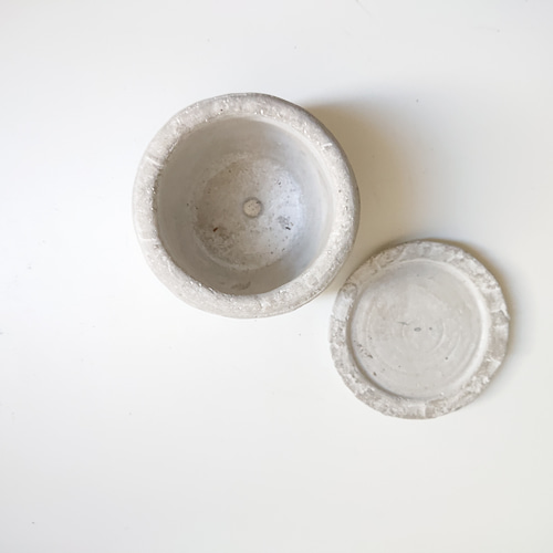 ○数量限定○新作○ ヒイラギの木 ”ヒメヒイラギ coco鉢/受け皿セット