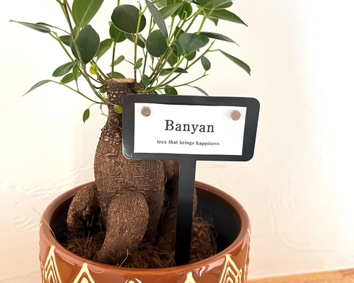 8da481c6030df4becddaa3933f8d83