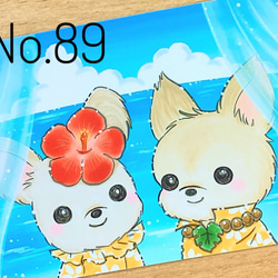 春夏秋冬ヨーキーちゃん　イラストポストカード　10枚セット 6枚目の画像