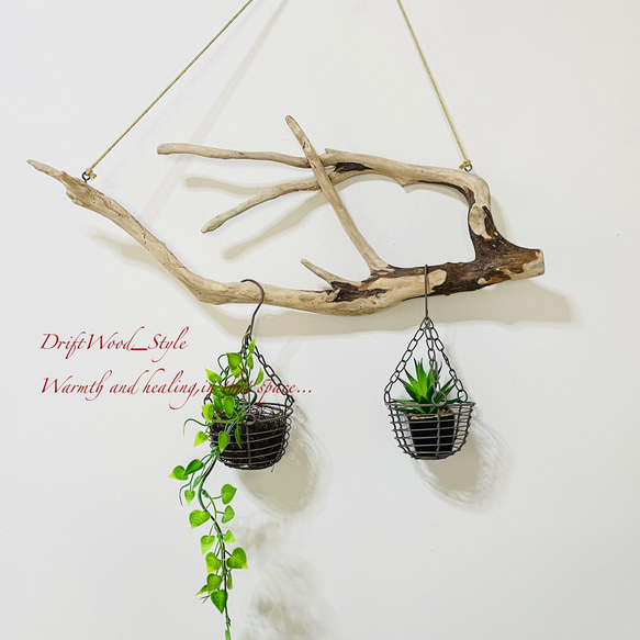 流木インテリアハンガーno.52 流木インテリアハンガーno.52 流木インテリアハンガーno.52