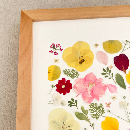 すみれ ビオラ 優しい色の押し花アート ピンク黄色 手作りの押花アート