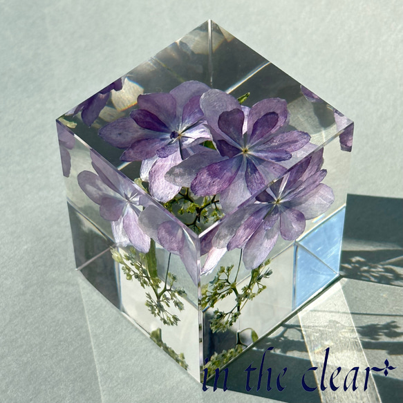 植物標本　額紫陽花　薄紫　レジン　５センチ角柱 8枚目の画像