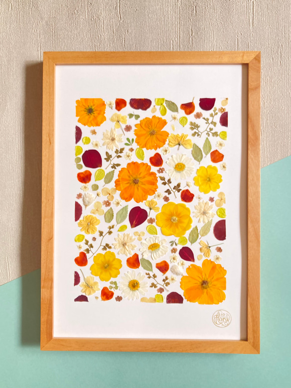黄花コスモス 押し花アート ハーバリウム A4サイズ io floraの