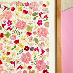 桃色ピンク　春色押し花アート　推しカラーピンク　A4サイズ  io floraの美しい押花アート - 自然の美しさをあな 3枚目の画像