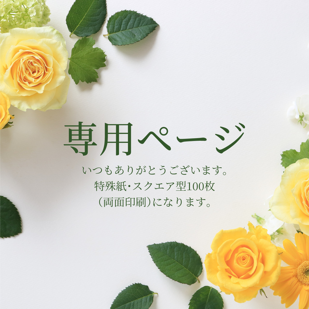 2回目以降/100枚〜/特殊紙両面印刷/印刷業者刷り/セミオーダー