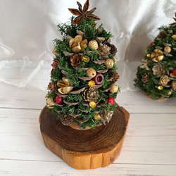 省スペースで飾れる大王松のクリスマスツリー 木の実＆ゴールドライン