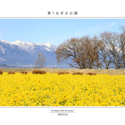 選べる5枚「滋賀の風景」ポストカード Cセット 3枚目の画像