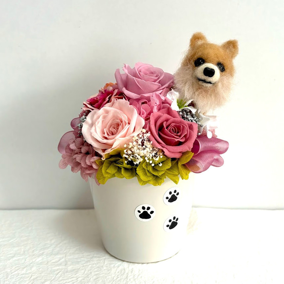 ちょこんと顔出す ポメラニアン（右側）＆ プリザーブドフラワー