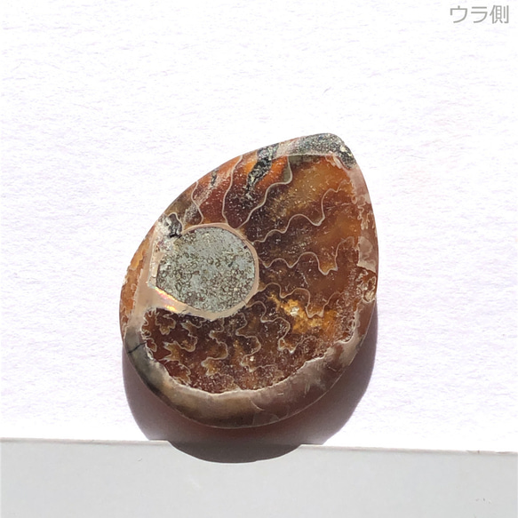 アンモナイト[103] 23x18mm 11Cts　天然石 ／ ルース ／カボション 2枚目の画像