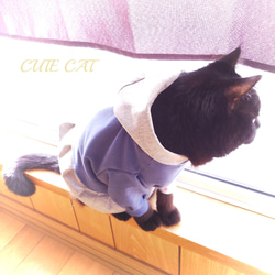 猫服【限定完成品】フランネルブルーワンピ２★３サイズ★ 8枚目の画像