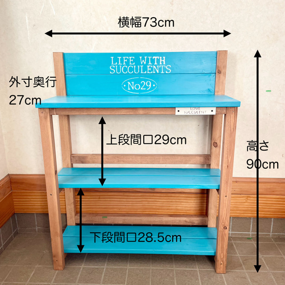  第3張的照片