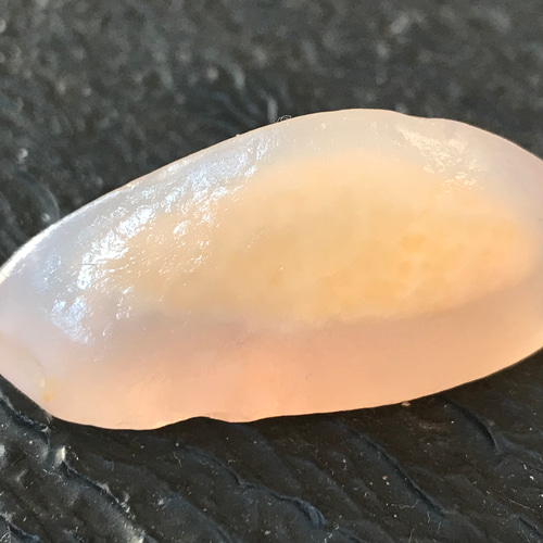ゴビ石−1188 ゴビ瑪瑙　原石 ゴビ石−1188 ゴビ瑪瑙 原石 その他置物 KIKI 通販 16998376