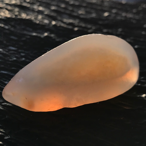 ゴビ石−1188 ゴビ瑪瑙　原石 ゴビ石−1188 ゴビ瑪瑙 原石 その他置物 KIKI 通販 16998376｜Creema