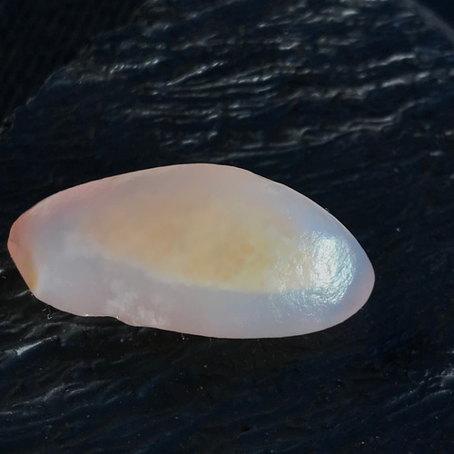 ゴビ石−1188 ゴビ瑪瑙 原石 その他置物 KIKI 通販 16998376｜Creema