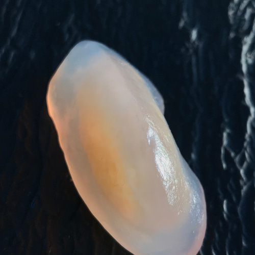 ゴビ石−1188 ゴビ瑪瑙 原石 その他置物 KIKI 通販 16998376｜Creema