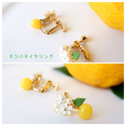 ちっちゃな柚子のイヤリング、ピアス・受注制作〈ゆず、イエロー、ミニチュア〉 6枚目の画像