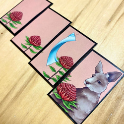 Hanafuda BonsaiGirl Cards (Australia) オーストラリア花札盆栽女子のカードセット 12枚目の画像