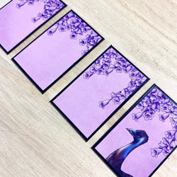 Hanafuda BonsaiGirl Cards (Australia) オーストラリア花札盆栽女子のカードセット 14枚目の画像