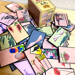 Hanafuda BonsaiGirl Cards (Australia) オーストラリア花札盆栽女子のカードセット 1枚目の画像
