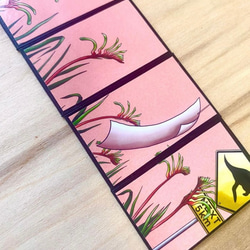 Hanafuda BonsaiGirl Cards (Australia) オーストラリア花札盆栽女子のカードセット 7枚目の画像