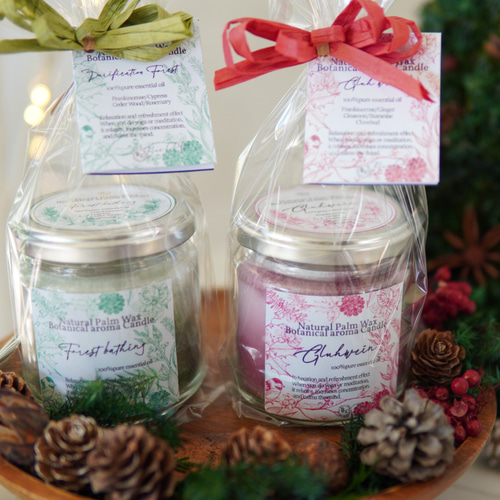 超早割クリスマス2025✴︎クリスマスギフトボックス ✴︎ 植物達の色