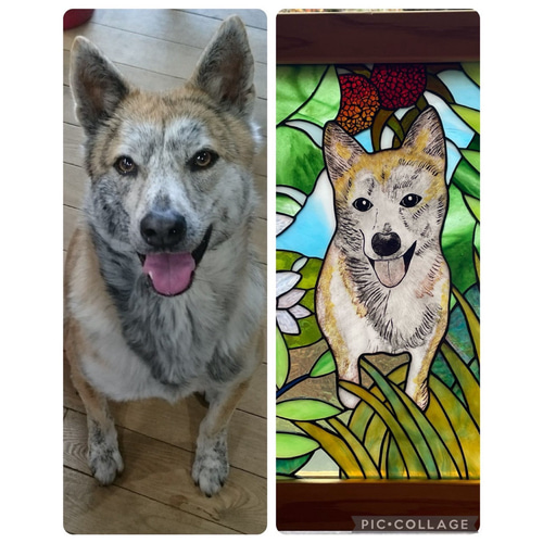 オーダーメイド】ステンドグラスのペット絵付けパネル その他