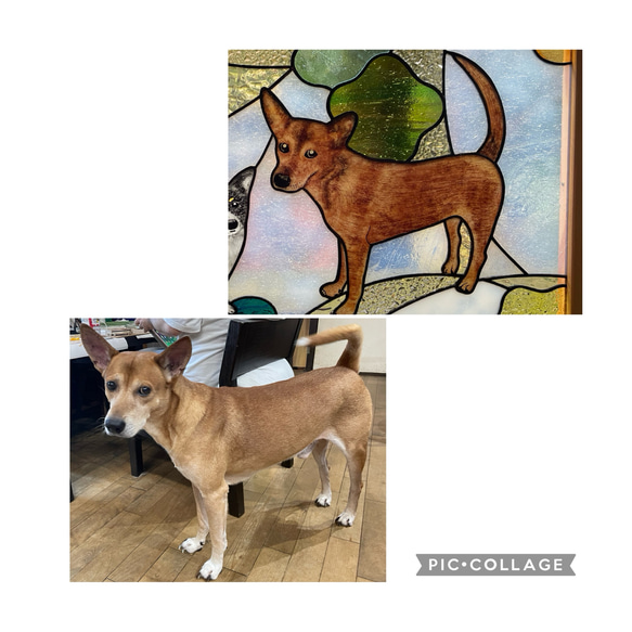 【オーダーメイド】ステンドグラスのペット絵付けパネル 人気・おすすめ｜使いやすい・旅行におすすめ セール中 全国発送 国内発送対応