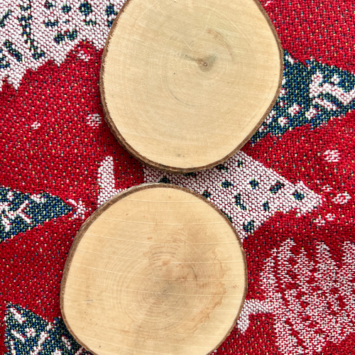 クリスマス2025 ガラスドームのクリスマスツリー ナチュラルクリスマス