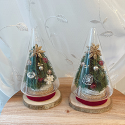 ガラスドームのクリスマスツリー　ナチュラルクリスマス　クリスマスツリー　北欧　置き型 1枚目の画像