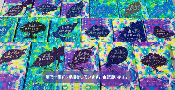 【本屋さんにはない宝物絵本】星の鳥のうまれるところ　 5枚目の画像