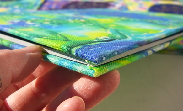 【本屋さんにはない宝物絵本】星の鳥のうまれるところ　 6枚目の画像