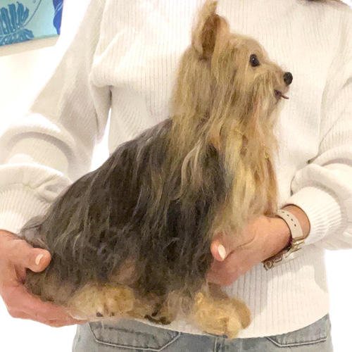 ♡ヨークシャテリア、オーダーページ② ♡ヨークシャテリア、オーダーページ②