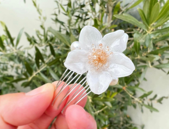 本物の桜×淡水パール ミニヘアコーム / sakura white 7枚目の画像
