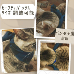 割引あり【79】猫の首輪 < 売り上げを保護団体に寄付 > 1枚目の画像