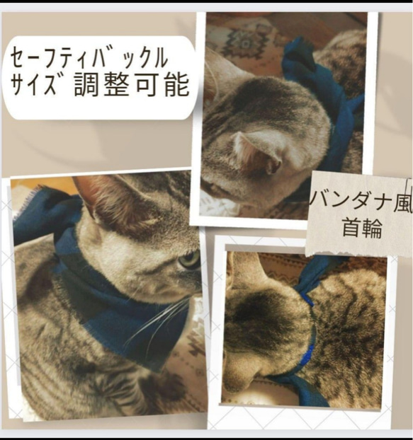 割引あり【79】猫の首輪 < 売り上げを保護団体に寄付 > 1枚目の画像