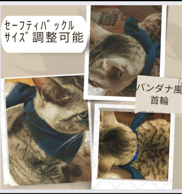 割引あり【80】猫の首輪 < 売り上げを保護団体に寄付させていただきます > 2枚目の画像