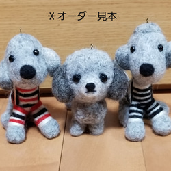 ペット＊オーダー専用＊S 羊毛フェルト ＊COCO＊ 通販 9890739｜Creema