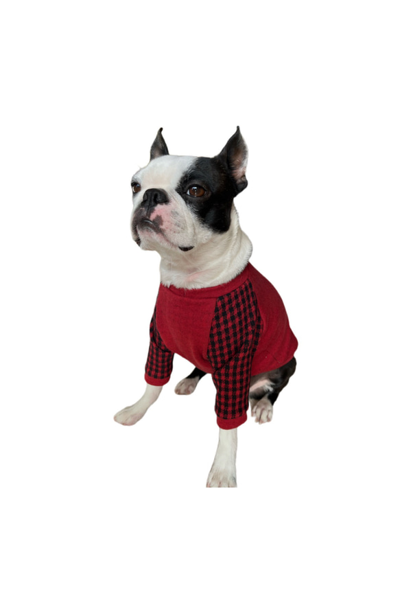 犬服 ハンドメイド ワンピース ギンガムレッド