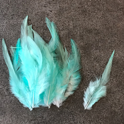 送料無料【F20ラムネ】高品質 羽根 フェザー ハンドメイド 素材 鳥 パーツ　鳥の羽根 2枚目の画像