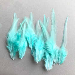送料無料【F20ラムネ】高品質 羽根 フェザー ハンドメイド 素材 鳥 パーツ　鳥の羽根 3枚目の画像