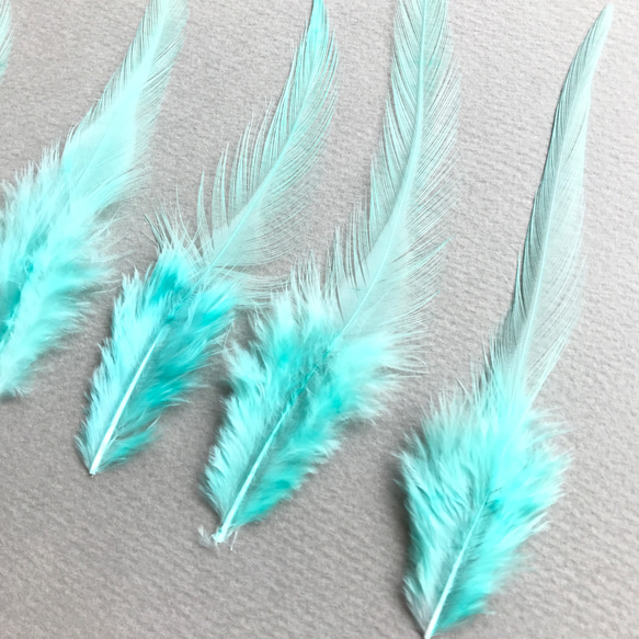 送料無料【F20ラムネ】高品質 羽根 フェザー ハンドメイド 素材 鳥 パーツ　鳥の羽根 4枚目の画像