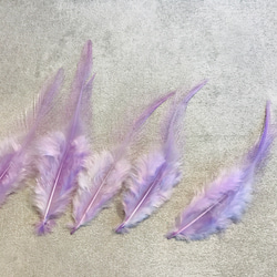 送料無料【F25ラベンダー】10枚 高品質 羽根 フェザー ハンドメイド 素材 鳥 パーツ　鳥の羽根 3枚目の画像