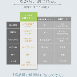 珪藻土バスマット 北欧 大理石 猫 アスベスト検査済 送料無料 ソフト 洗える 超吸収 速乾 柔らか 浴室マット トイレ 2枚目の画像