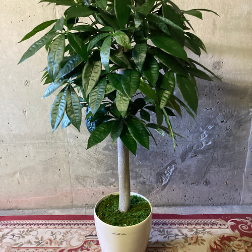 光触媒　人工観葉植物　ウォールグリーン　フェイクグリーン　パキラ90m 光触媒 人工観葉植物 ウォールグリーン フェイクグリーン パキラ