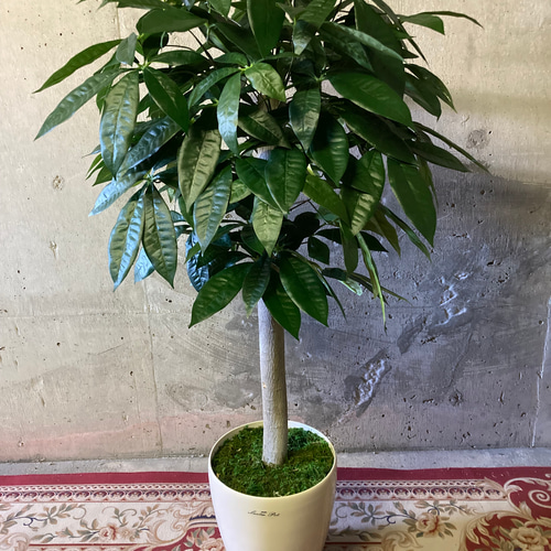 光触媒 人工観葉植物 ウォールグリーン フェイクグリーン シールドアラ