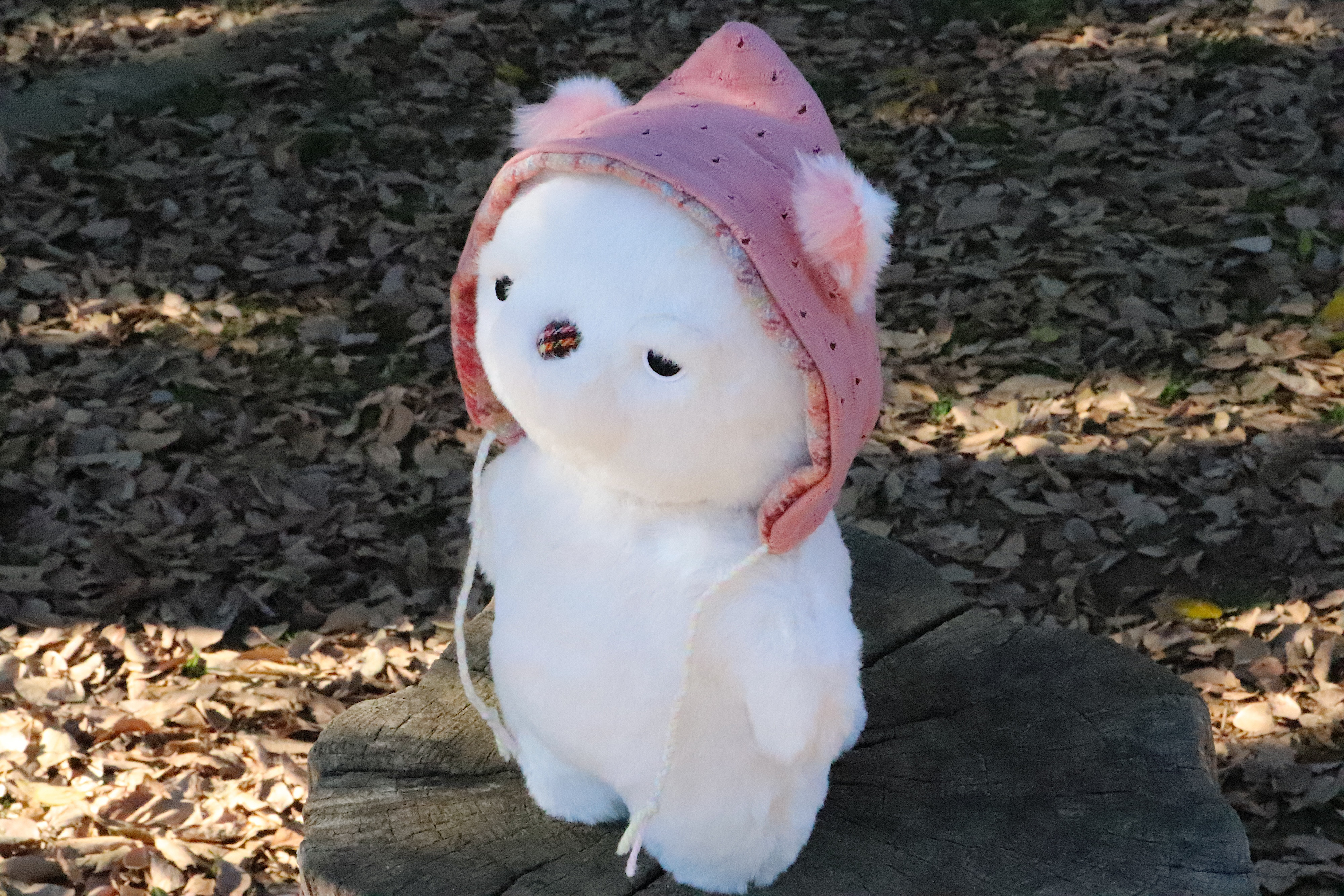帽子でっぷり白ねこさん ぬいぐるみ mofu mofu 通販 17001783