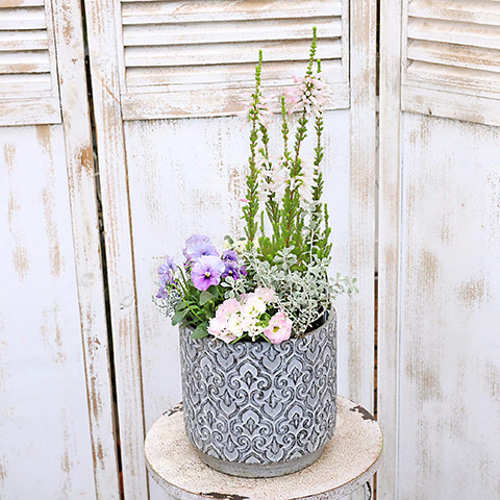 現品販売 花寄せ植え エリカ＆フリルバンジー white&gray アンティーク