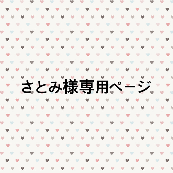 専用ページ　ポケット 1枚目の画像